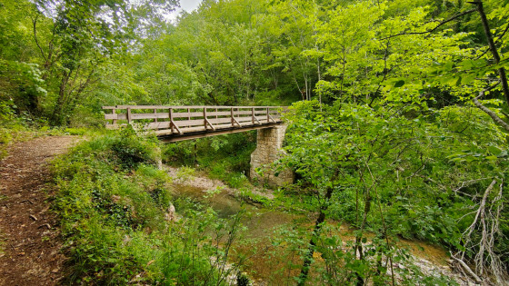Passerelle de Vescagne