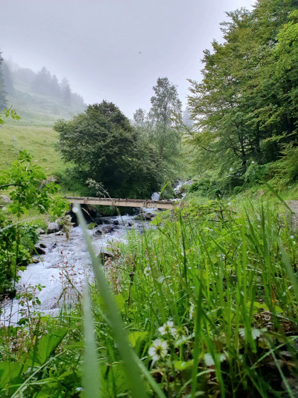 Passerelle du Ruisseau d\'Arrious (1575m)