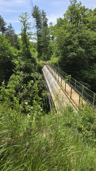 Passerelle du Saut du Thorrey