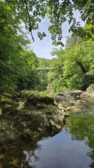 Passerelle du Saut du Thorrey