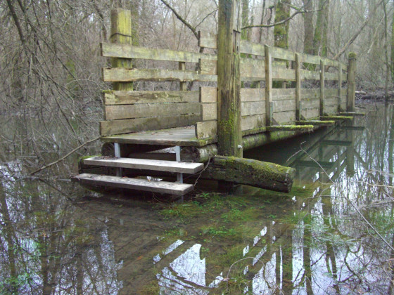 Passerelle du sentier du marais