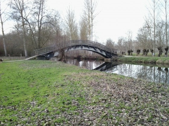 Passerelle en bois