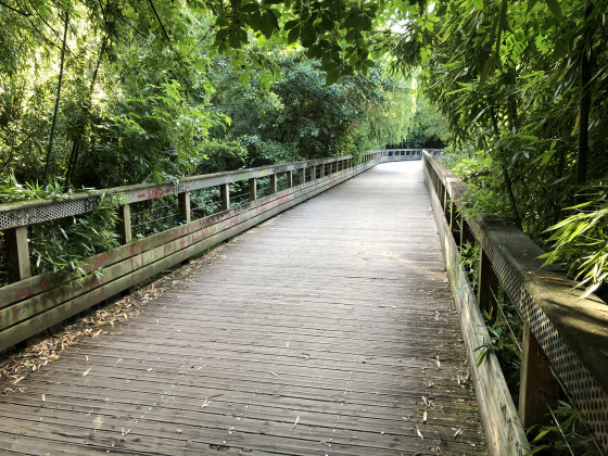 Passerelle le long de l'Erdre