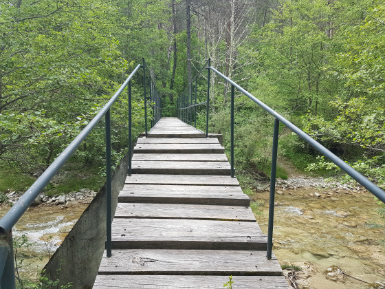Passerelle sur l'Esteron