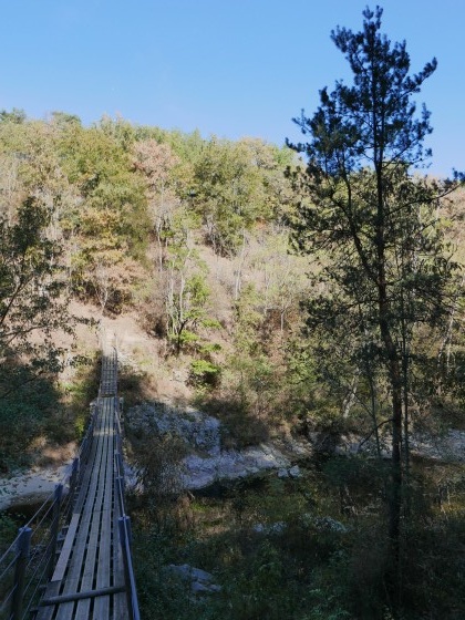 Passerelle sur la Daronne