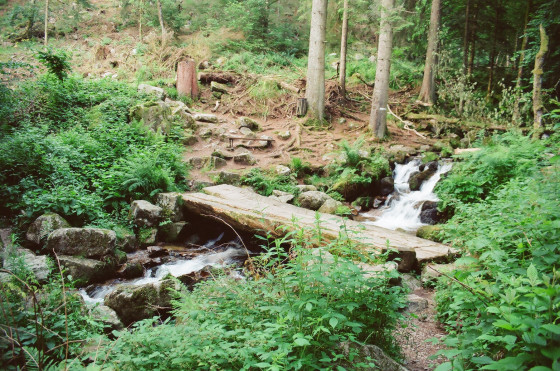 Passerelle sur la Serva