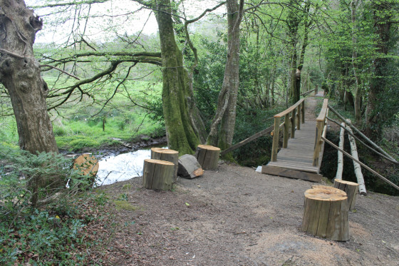 Passerelle sur Langelin