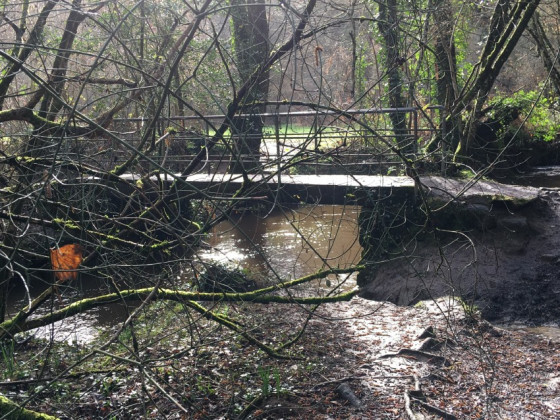 Passerelle sur le Cens