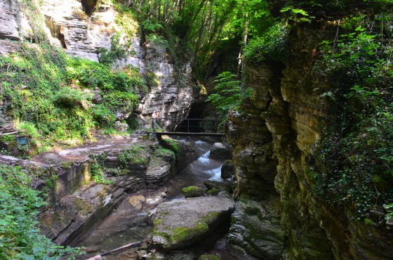 Passerelle sur le Furon