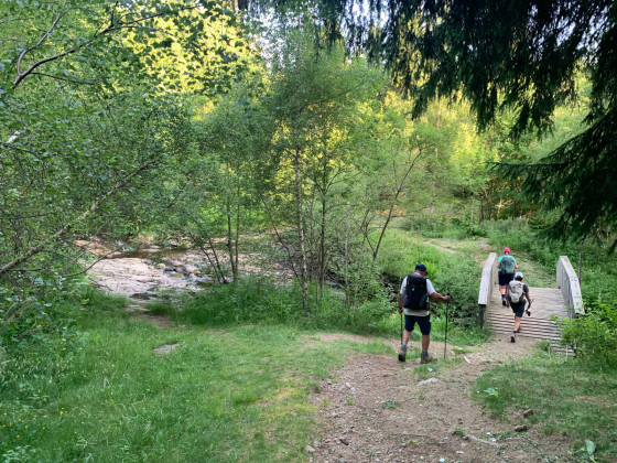 Passerelle sur le Lagnon