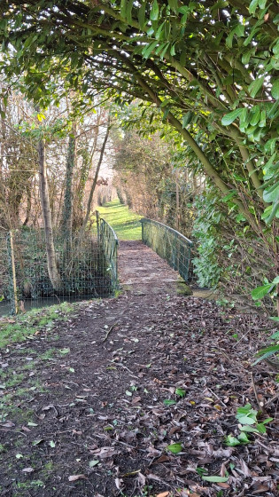 Passerelle sur le Vilpion