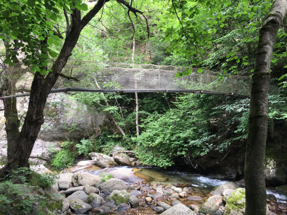 Passerelle suspendue