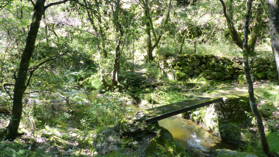 Passerelle
