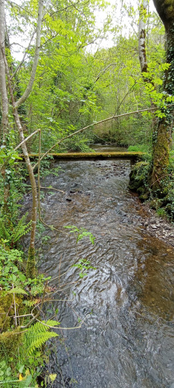 passerelle