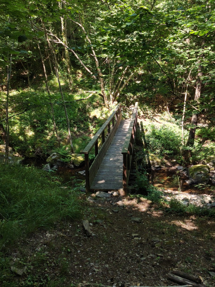 Passerelle