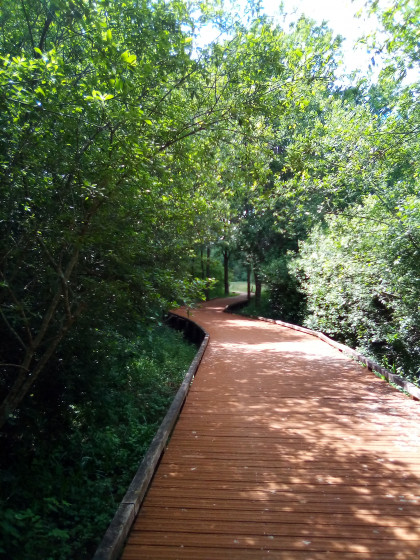 Passerelles en bois