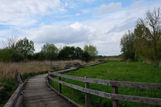Passerelles r&eacute;serve naturelle du Romelaere
