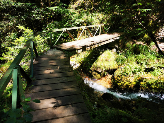 Passerelles de bois