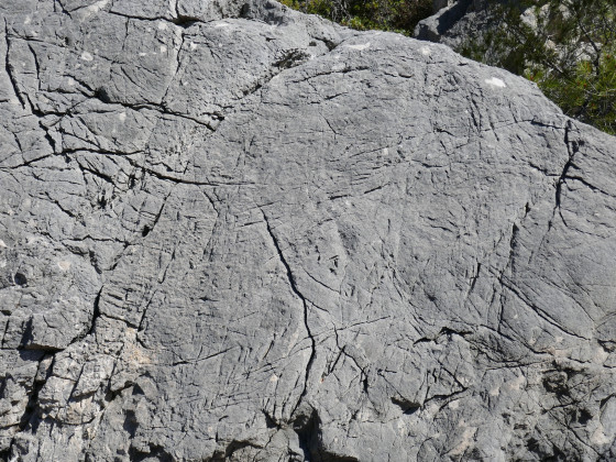 Patine en peau d\'éléphant de la dolomie