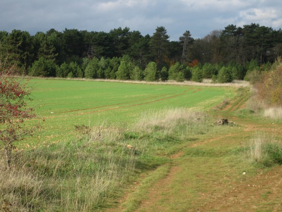 Patte d\'oie sur le plateau - 332m