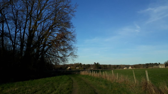 Pâturage à côté de la Maltorne
