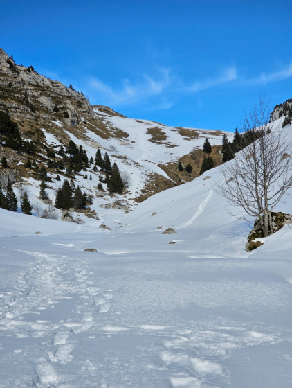 P&acirc;turage alpin