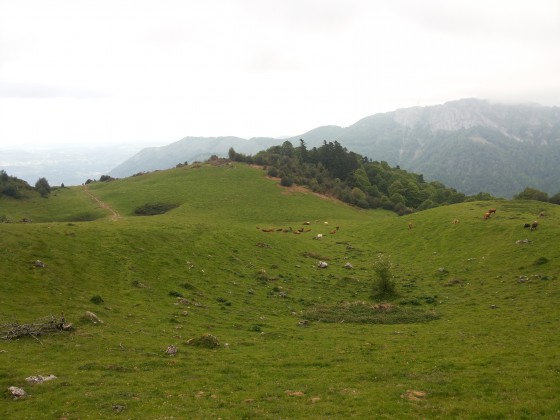 P&acirc;turage d'estive de l'Artigue, vu du col du Larbastan