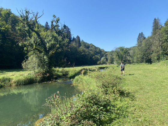 P&acirc;turage de la propri&eacute;t&eacute; priv&eacute;e, le retour depuis la cascade