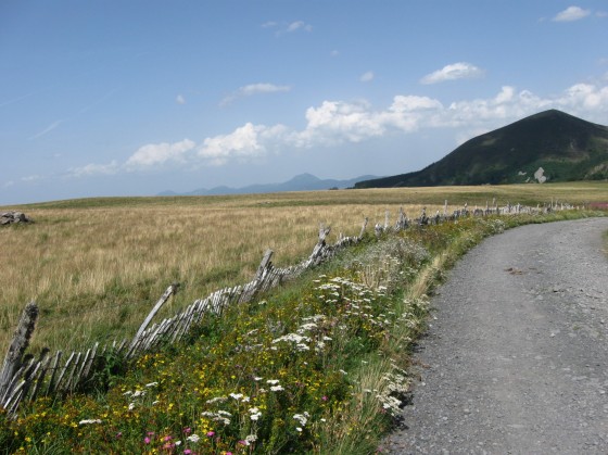 Paturages du plateau
