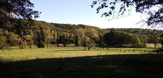 Pâturages Pâturages