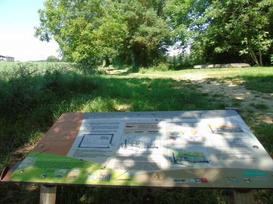 Pause n°4