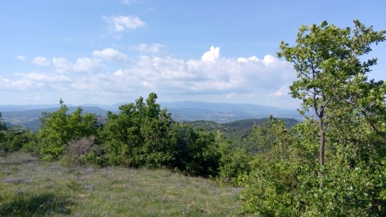 Pays de Forcalquier et la montagne de Lure