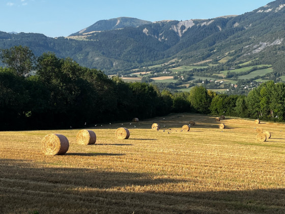 Paysage agraire