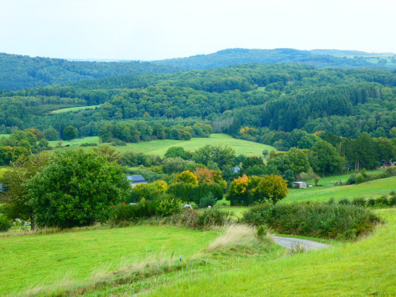 Paysage ardennais