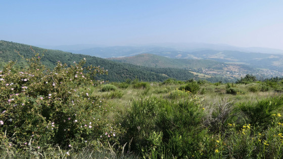 Paysage au sommet