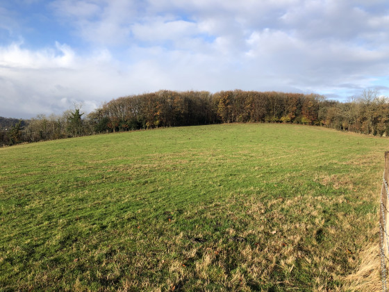Paysage automnal