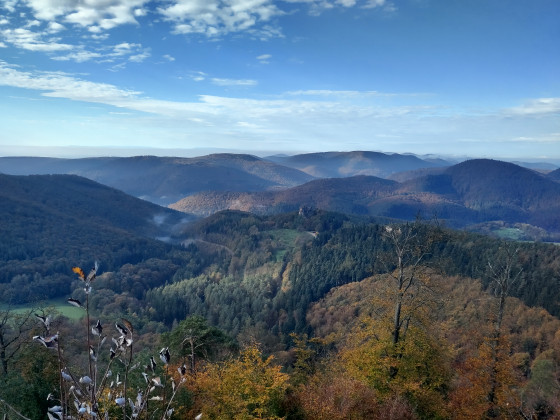 Paysage automnal vu du château du Loewenstein