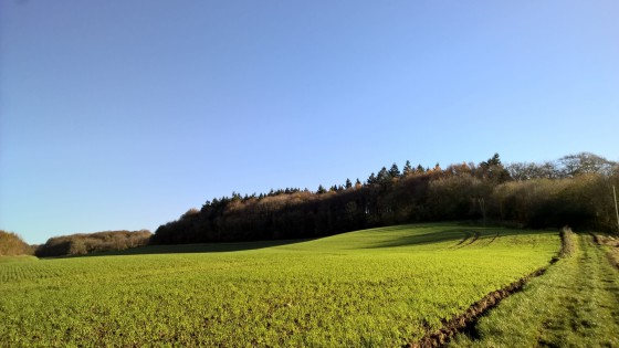 Paysage automnale de début d\'hiver.