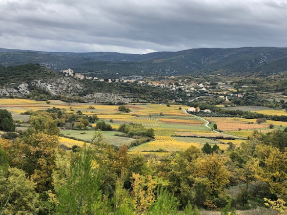 Paysage automnale