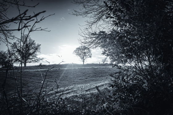 Paysage autour de Moncontour