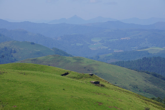 Paysage avec bunkers