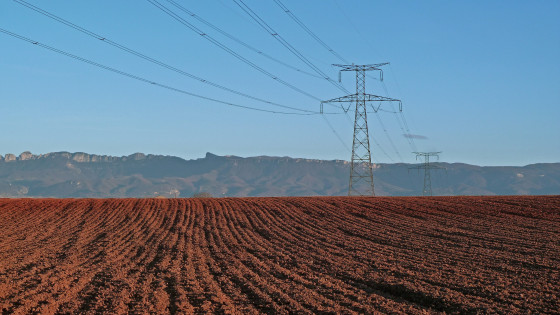 paysage avec champ