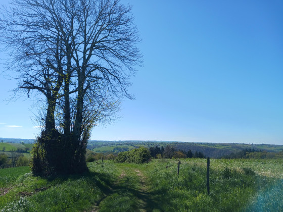 Paysage aveyronnais