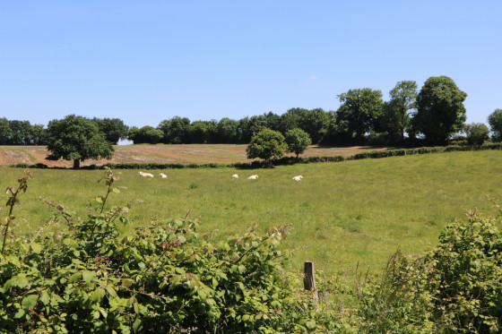 Paysage bocager avant la Gravette