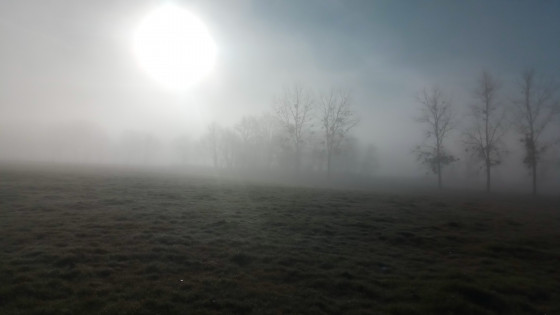 Paysage brumeux