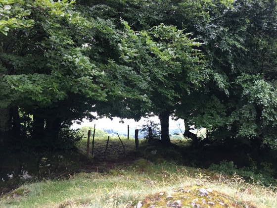 paysage cantalien