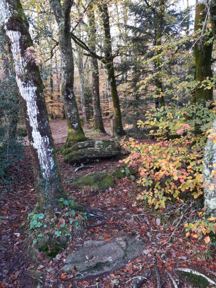 Paysage d'automne