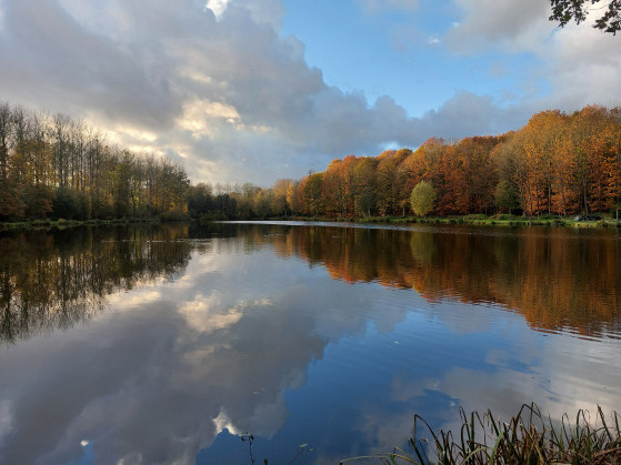 Paysage d'automne