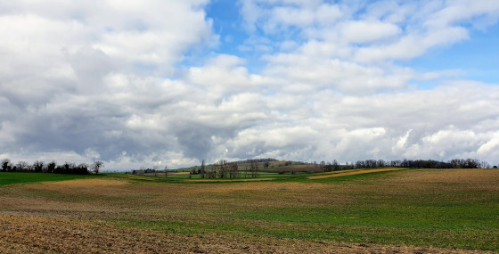 Paysage d\'hiver