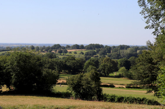 Paysage de bocage
